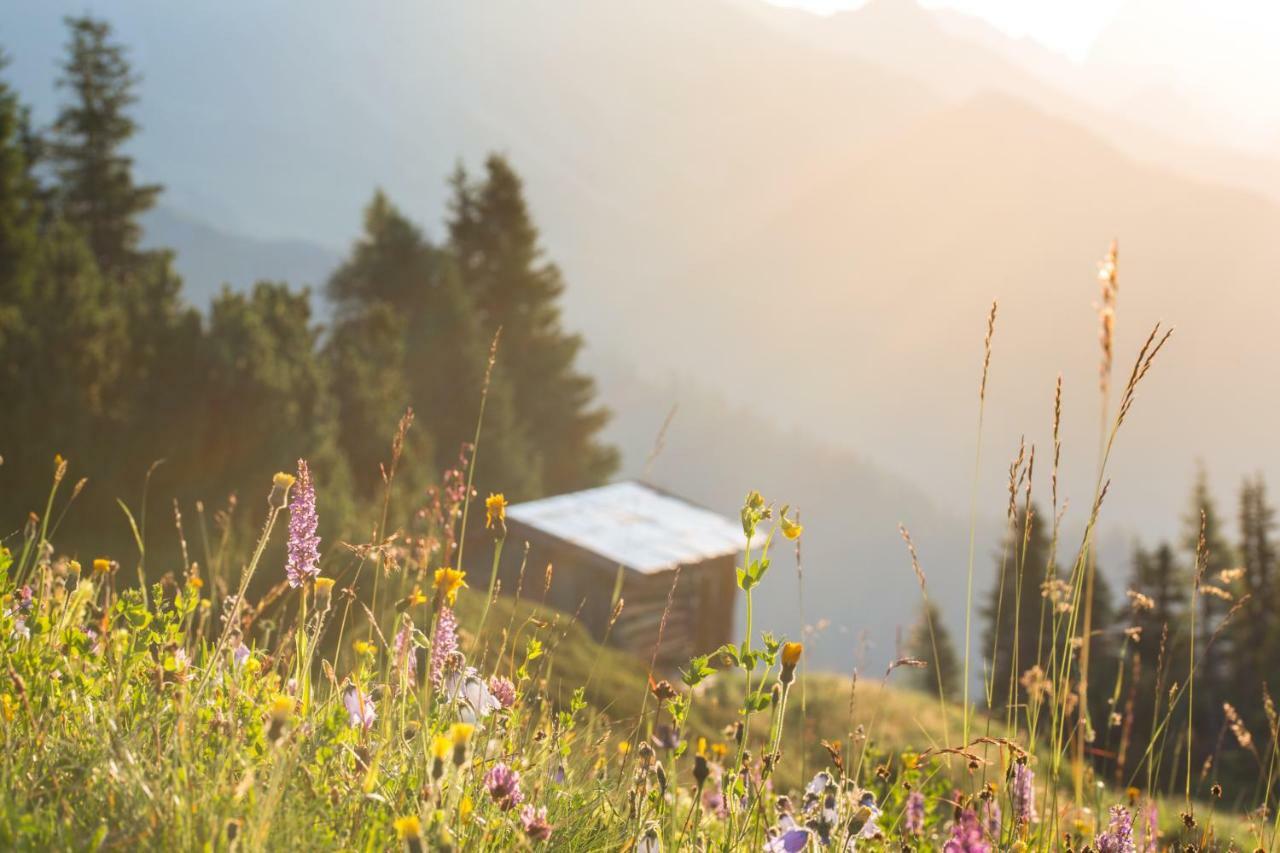 Rosa Canina Superior Sankt Anton am Arlberg Buitenkant foto